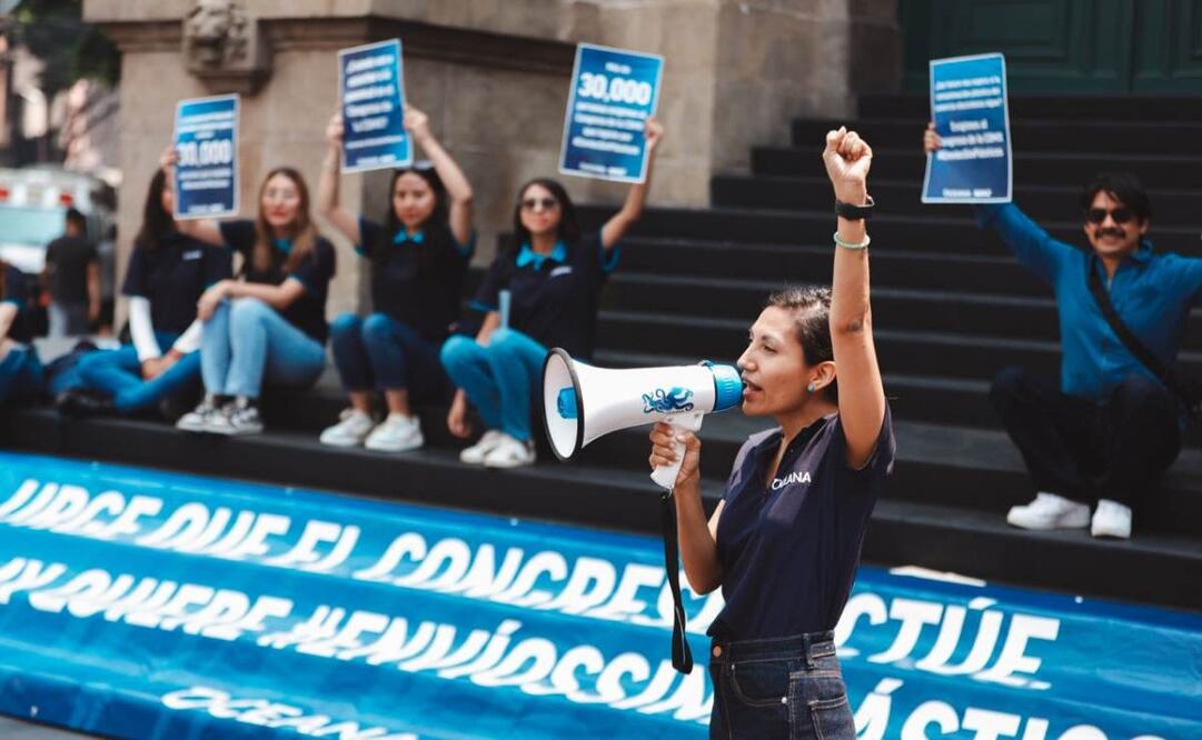 La iniciativa también fue enviada a la Comisión de Preservación del Medio Ambiente, Cambio Climático y Protección Ecológica, la cual no ha emitido ninguna respuesta. Foto: Especial