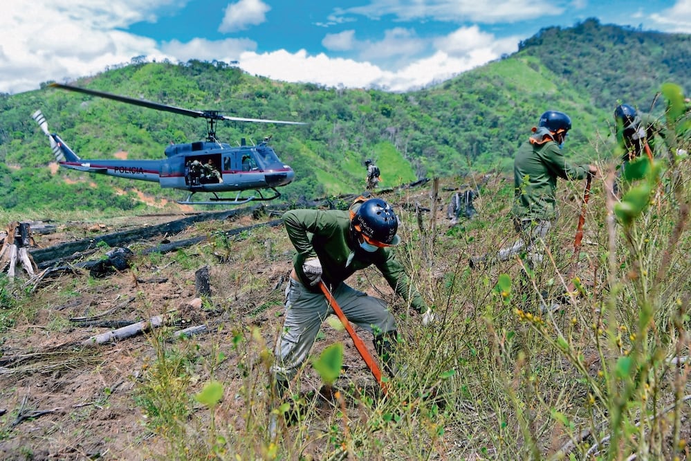Soldados peruanos destruyen una plantación ilegal de coca en el Valle de los Ríos Apurimac, Ene y Mantaro. Cocaína de AL inunda Europa, revela un informe. Foto: AFP