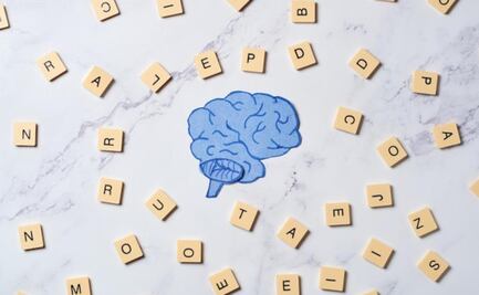 La ciencia demuestra cómo nuestro cerebro procesa el lenguaje; aquí los detalles