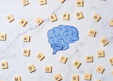 La ciencia demuestra cómo nuestro cerebro procesa el lenguaje; aquí los detalles