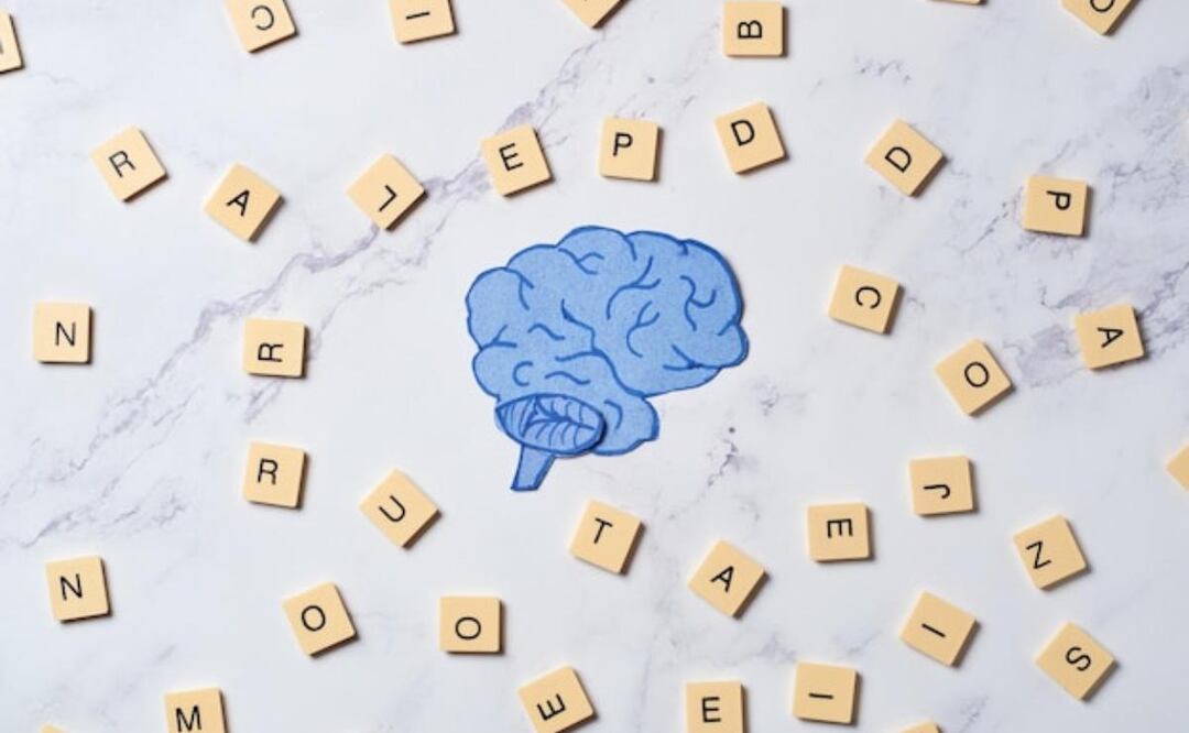 Harvard revela nuevos avances en cómo el cerebro procesa el lenguaje. Fuente: Freepik.