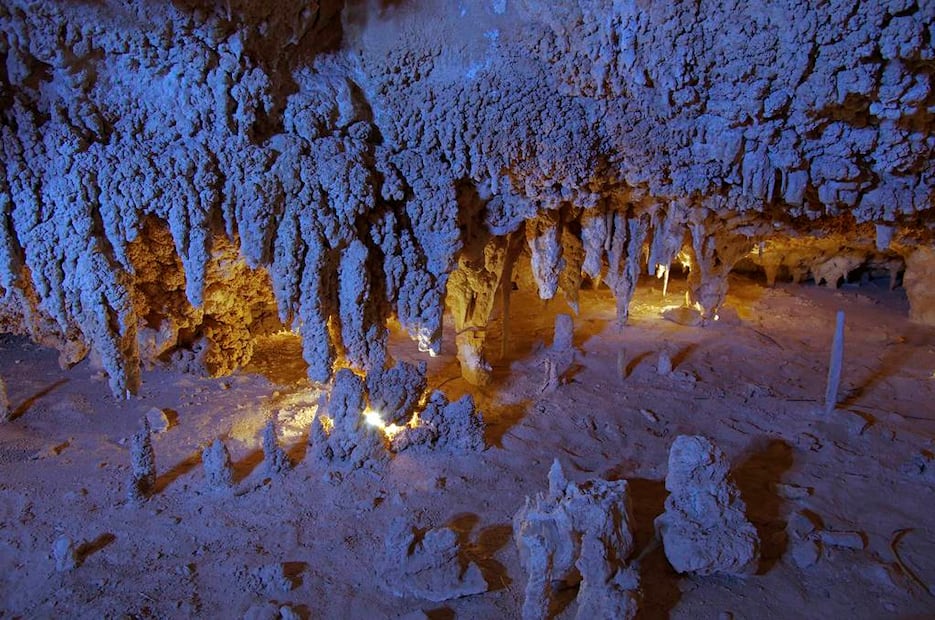 Foto: Fidetur ¡Ah Chihuahua!