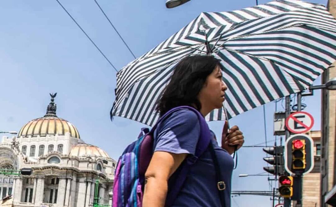 Se espera Viento del norte y noreste de 10 a 25 km/h con rachas de 30 a 40 km/h.. Foto: Archivo