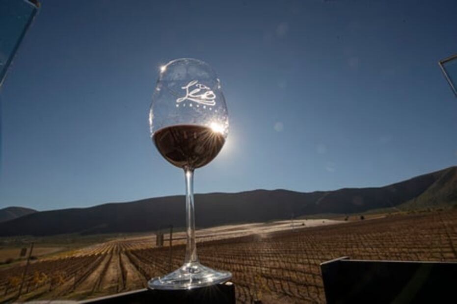 #Columna: Reflexiones acerca del Día del Vino Mexicano