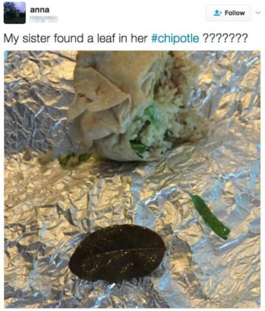 Estadounidenses se indignan al hallar "hojas de árbol" en su comida, sin saber que era laurel