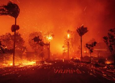 Reportan al menos 13 desaparecidos en incendios de Los Ángeles; 22 personas fueron detenidas