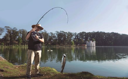 Aprovecha el sabor y las propiedades de la trucha
