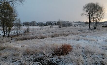 ¡No te destapes! Este lunes se espera la caída de nieve o aguanieve en zonas serranas de Baja California, Sonora y Chihuahua