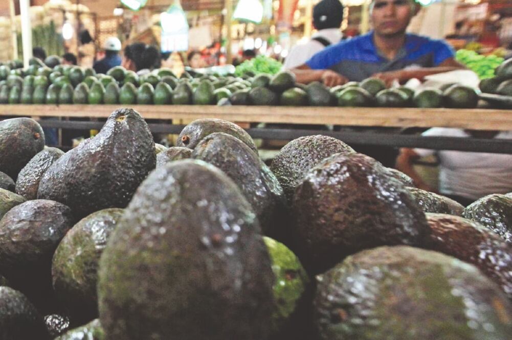 Intercambio. Con la entrada de más agroalimentos de Nueva Zelanda gracias al TPP-11, México tiene oportunidad para exportar a ese país aguacate, papaya, sandía y limón. Foto: ARCHIVO EL UNIVERSAL