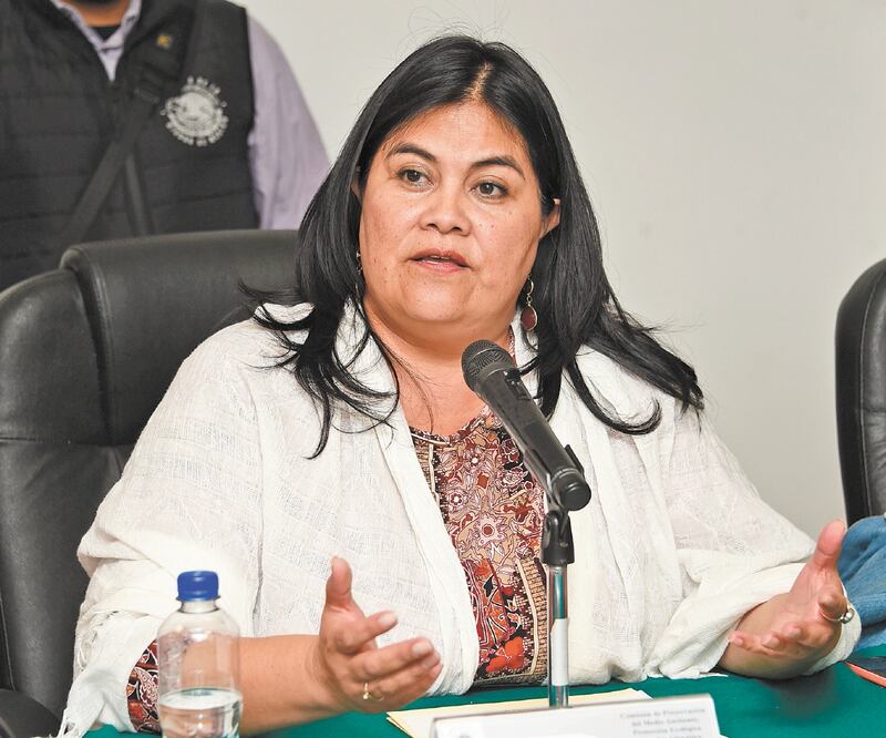 Guadalupe Chavira dice que la secretaria Rosa Icela Rodríguez debe sacar las manos de la elección del coordinador de los diputados morenistas. ARCHIVO EL UNIVERSAL