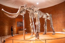 Fin de semana en 5 lugares no muy lejos de CDMX