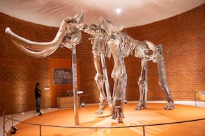 Fin de semana en 5 lugares no muy lejos de CDMX