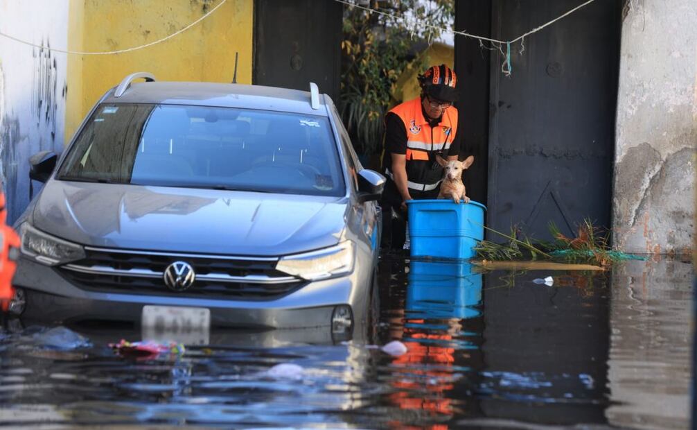 Elementos de seguridad resguardan a un perro tras la inundación en Azcapotzalco (17/11/2025). Foto: Francisco Rodríguez / EL UNIVERSAL