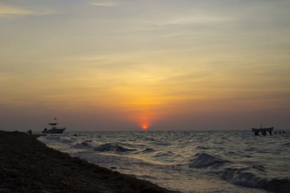 #TuFotoTuDestino El desierto donde encontrarás un bosque petrificado
