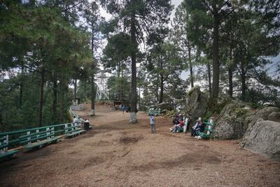 5 planes para disfrutar de la CDMX este fin de semana