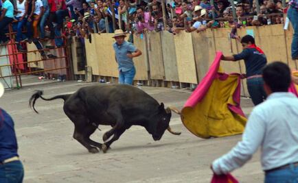 Tres heridos por toros en fiesta patronal de Veracruz