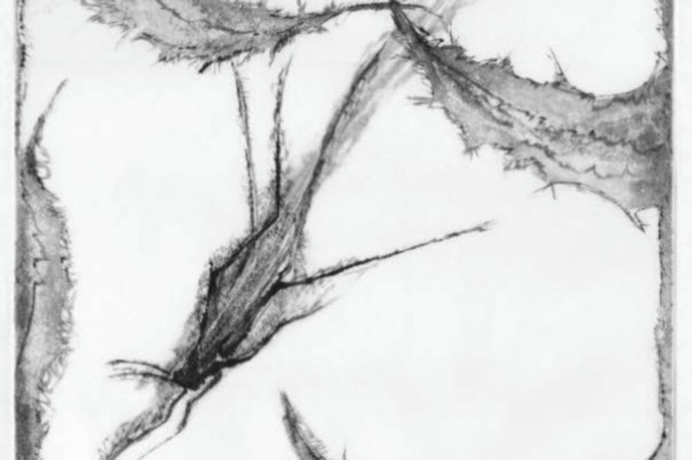 El autorretrato, la muerte, el bestiario y las fábulas son temas de la muestra (CORTESÍA UIA)