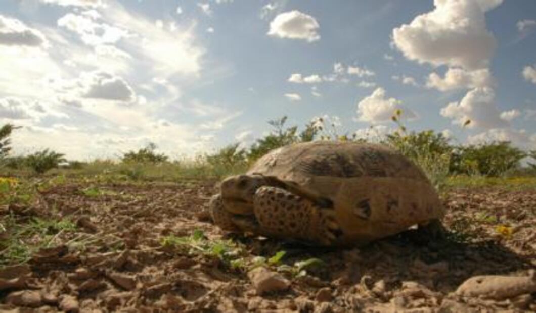 ​¿Qué hacer en la Zona del Silencio?