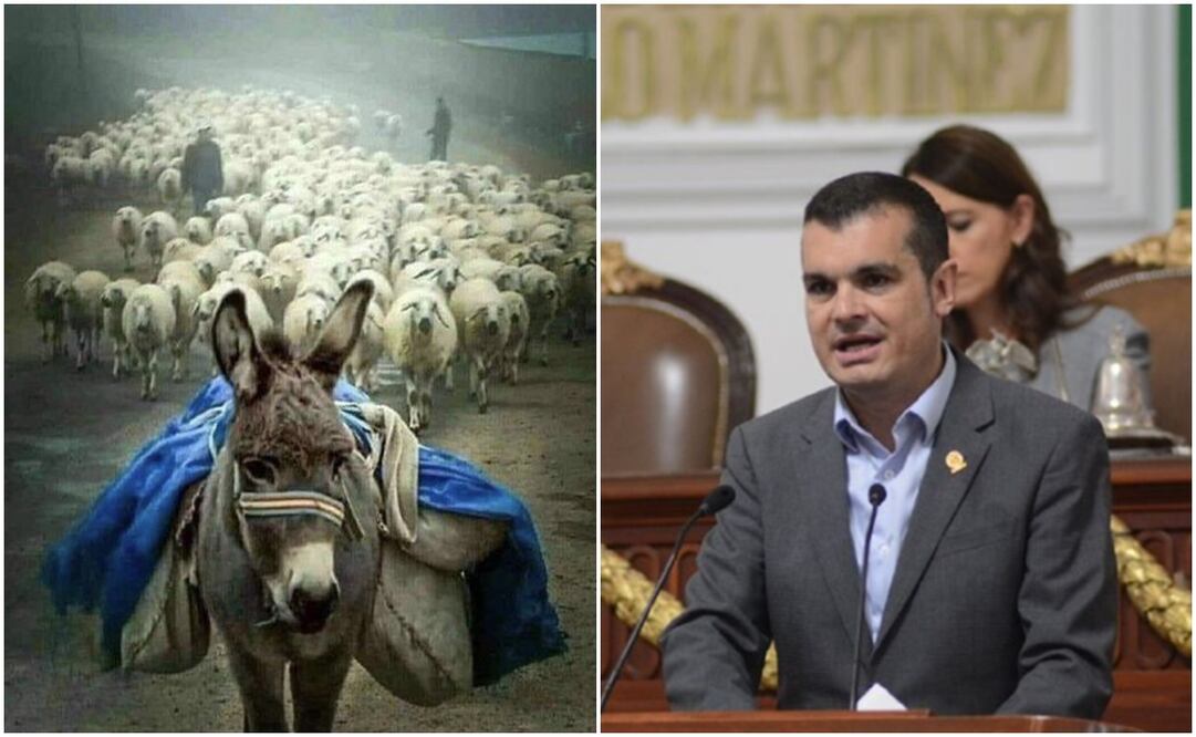 Foto: Twitter / Archivo EL UNIVERSAL