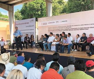 Realizan consulta hoy sobre Tren Maya