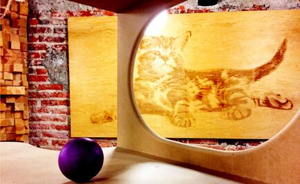 LLega La Gatería a  la colonia Roma