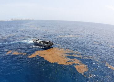 Lluvias y vientos limpian sargazo de las playas de Quintana Roo
