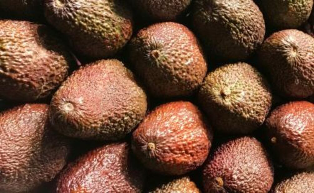 ¿Cómo elegir frutas y verduras adecuadamente?