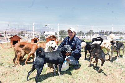 Del abandono a correr en manada