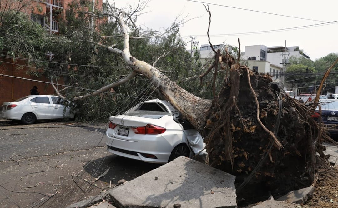 Reportan tolvanera en la CDMX / Foto: Valente Rosas. EL UNIVERSAL 
