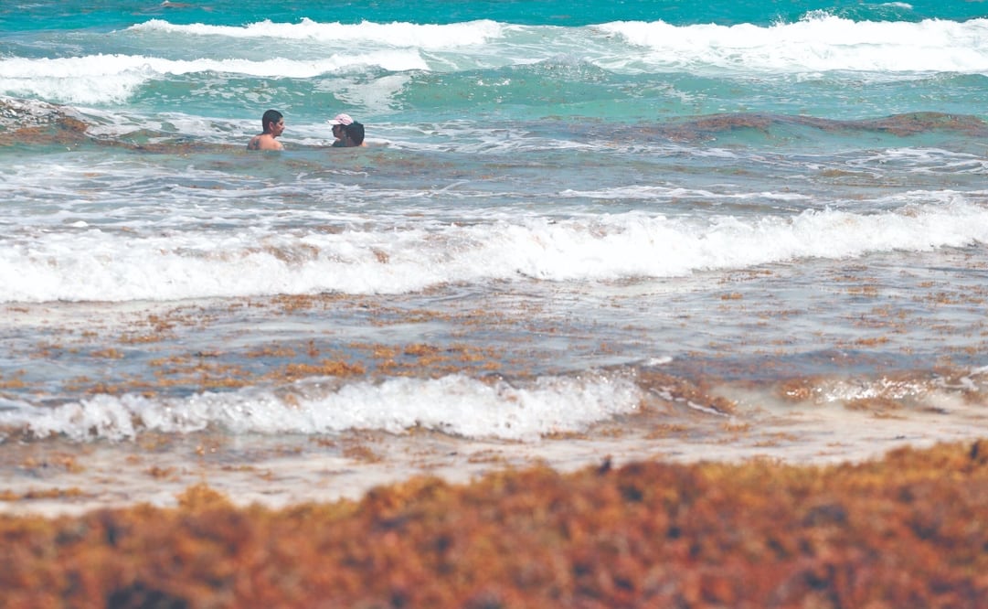 Imagen de 2019. Foto: Berenice Fregoso/ EL UNIVERSAL