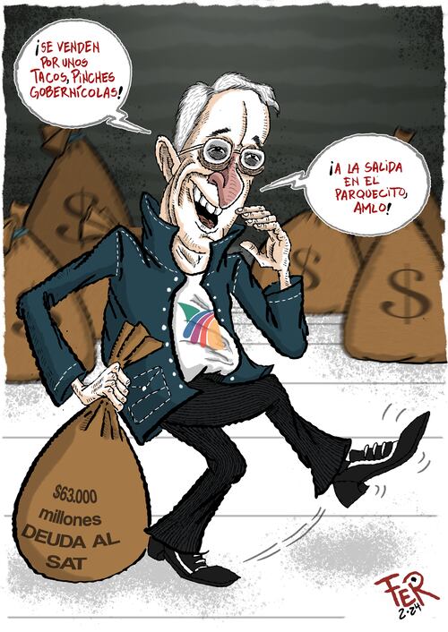 Cartón de FER