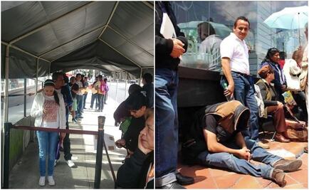 Semovi denunciará ante MP a Arne por retiro de carpa