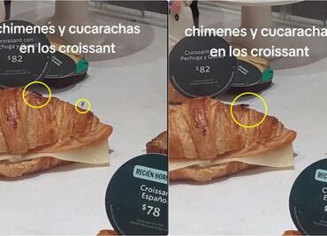 ¿La cucaracha va incluida? Captan en video a insectos entre comida en venta en Starbucks