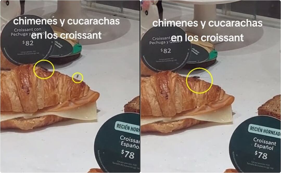 Un usuario de TikTok exhibió la falta de higiene en una de las sucursales de la tienda de café Starbucks en Querétaro. / Foto: Captura video de TikTok .