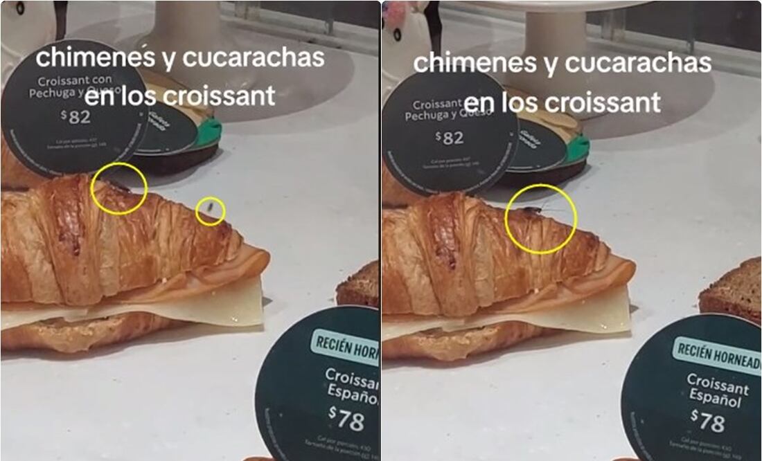 Un usuario de TikTok exhibió la falta de higiene en una de las sucursales de la tienda de café Starbucks en Querétaro. / Foto: Captura video de TikTok .