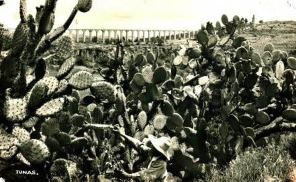 Las torres de Babel de Naucalpan