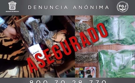 Aseguran envoltorios y plantas de marihuana en inmueble de Valle de Bravo
