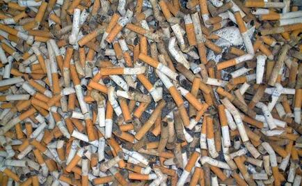 PGR detiene a ex agente del MP de Quintana Roo