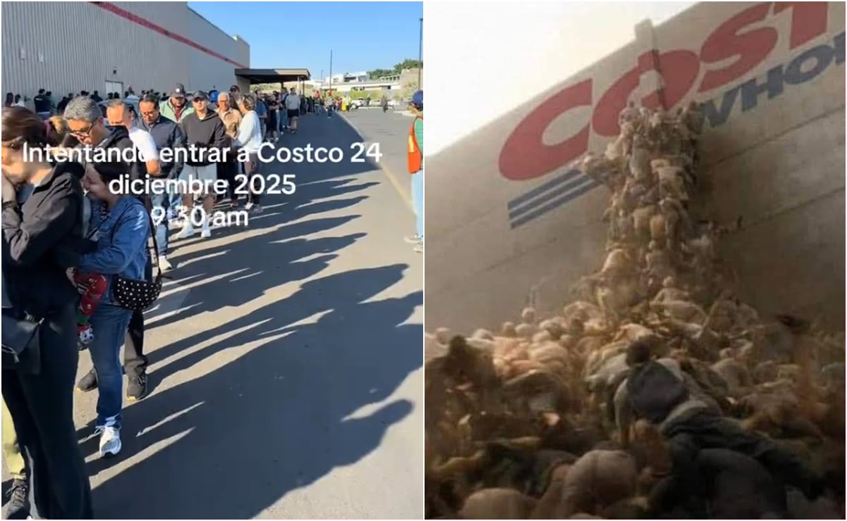 Caos navide&ntilde;o en Costco: largas filas se viralizan y desatan los memes m&aacute;s ingeniosos