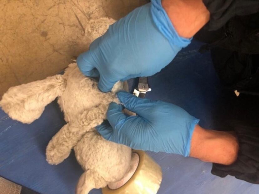 Aseguran 270 pastillas de fentanilo ocultas en peluche en Tijuana