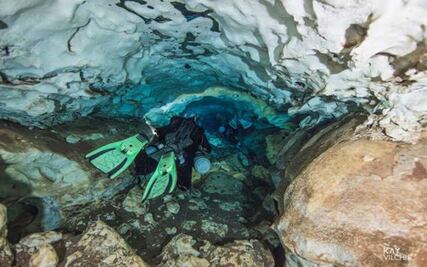 Localizan 13 fósiles de dientes de tiburón en cenote de Yucatán