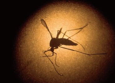 Hay casi 60 mil casos de zika en Colombia