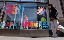 Regulación del cannabis en Norteamérica impacta mercado europeo
