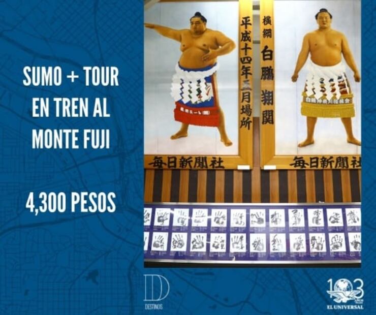 Cuánto dinero tienes que ahorrar para viajar a Tokio