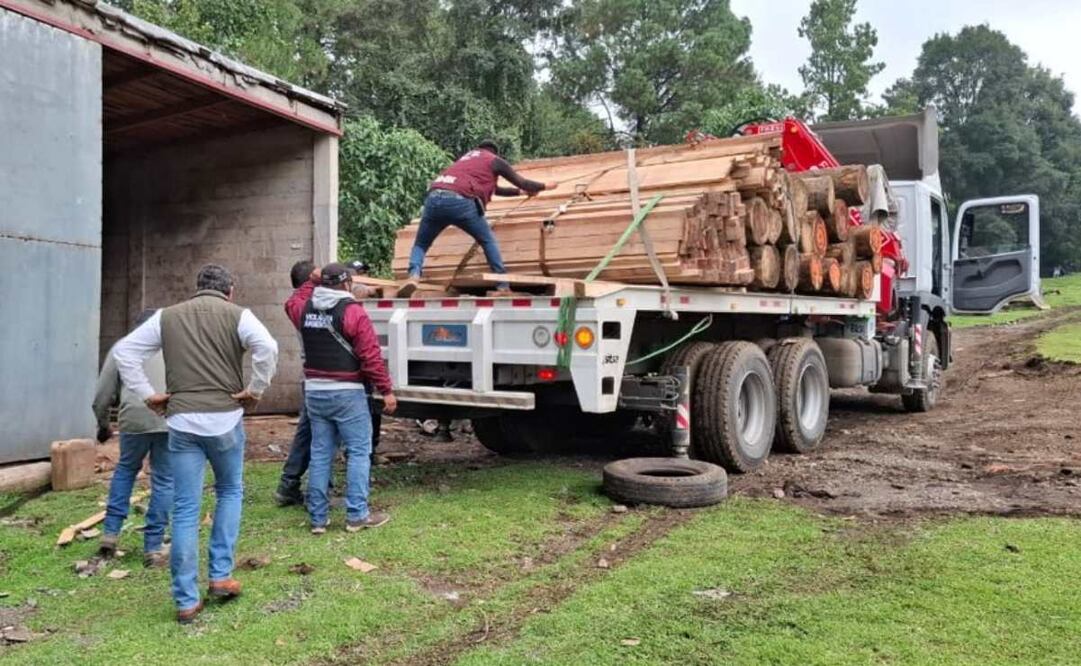 Sedema realizó operativo interestatal en el marco estrategia de protección al Bosque de Agua. Foto: Especial.