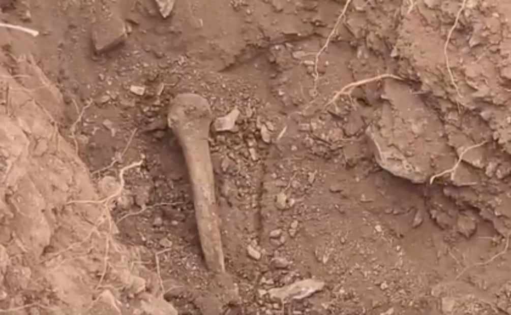 Hallan restos humanos en jornada de búsqueda en la región de Cubiri de Portelas, Sinaloa (07/07/2026). Foto: Captura de pantalla