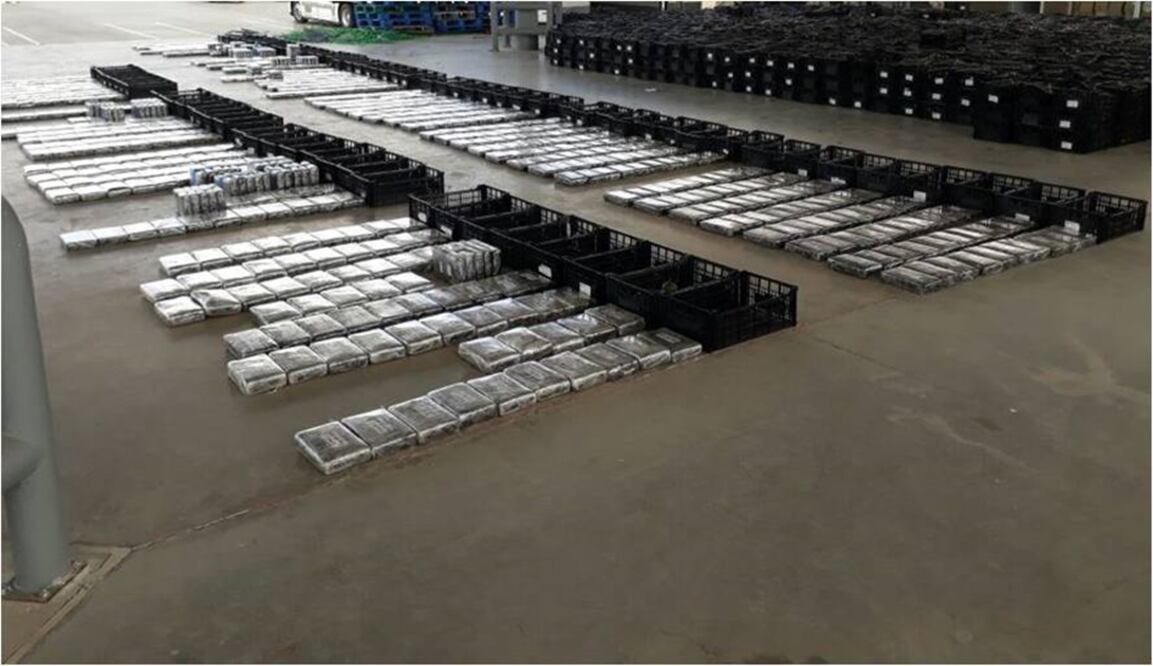 La cocaína fue asegurada por la Sedena en un cargamento de aguacate. Foto: Cortesía Sedena