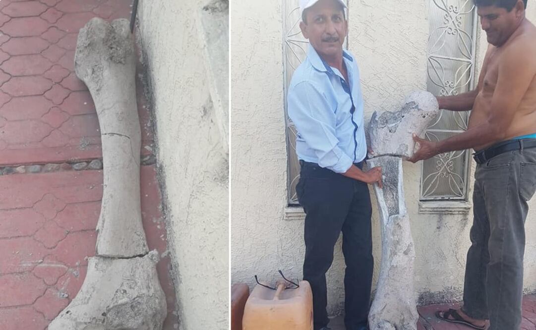 Fotos: tomadas de Facebook