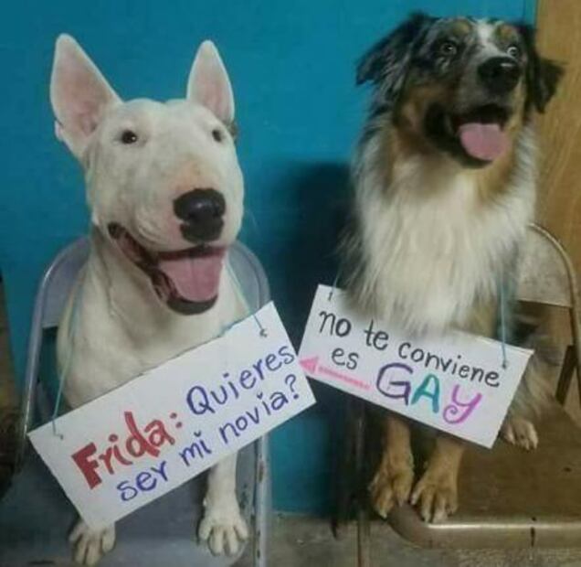 "Fridamania" invade la CDMX