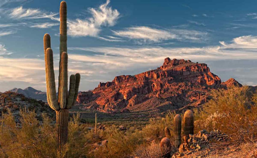 Foto: iStock